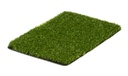 Proturf